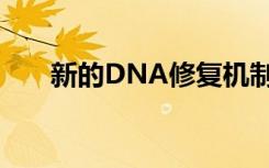 新的DNA修复机制保持基因组完整性