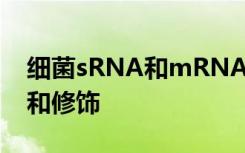 细菌sRNA和mRNA的5'-末端的非经典特征和修饰