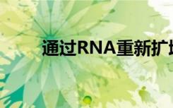 通过RNA重新扩增扩展基因表达谱