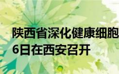 陕西省深化健康细胞示范建设电视电话会议16日在西安召开
