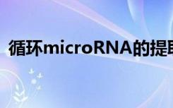 循环microRNA的提取及第二部分分离方法