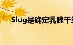 Slug是确定乳腺干细胞健康的指挥中心