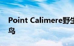 Point Calimere野生动物保护区是否适合候鸟