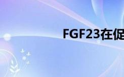 FGF23在促磷激素之外